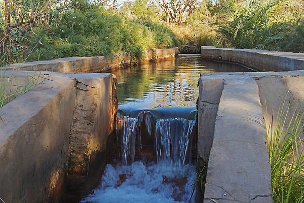 포토 JPG 해외이미지 나무 공원 여행 아프리카 자연 하늘 이집트 풍경 사람없음 야외 초록색 물 강 뷰티 환경 봄 묘사 내추럴 오아시스 해외202310 해외포토 자연요소 식물 계절 공공시설 나라 컬러 생태계 파일형식