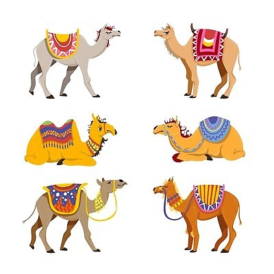 EPS 해외이미지 동물 디자인 아시아 모래 여행 백그라운드 패턴 의자 일러스트 아프리카 동물원 이집트 미술 여러명 그래픽 장식 세트 농장 걷기 사막 흰색 그룹 플랫 승차 만화 수집 낙타 아라비아 혹 공평 안장 사하라 사우디아라비아 고립 굴레 단봉낙타 마스코트 아랍어 카라반 스타일 벡터 해외202310 해외일러스트 나라 컬러 가구 다수 무늬 농업 중동 포유류 모션 문화예술 사람 캠핑카 파일형식