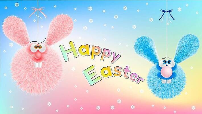 EPS 해외이미지 캐릭터 계절 행복 어린이 분홍색 꽃무늬 일러스트 휴가 부활절 파란색 장난감 파티 계란 봄 토끼 신용카드 유머 만화 모피 솜털 80대 레터링 해외202310 해외일러스트 일러캐릭터 기념일 노년 꽃 감정 컬러 무늬 포유류 사람 이벤트 금융 반려동물 알 파일형식 벡터