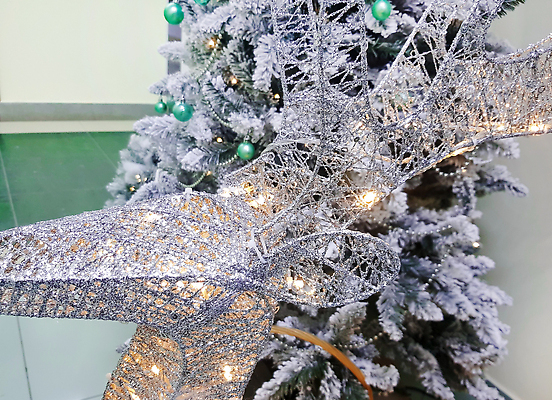 포토 JPG 해외이미지 나무 디자인 계절 행복 별 분홍색 백그라운드 크리스마스 겨울 부분 공 휴가 사슴 새로움 주택 선물 사람없음 장식 초록색 크리스마스트리 갈색 축제 화환 수확 흰색 나뭇가지 등불 소나무 은색 연도 준비 복고 보케 철사 내추럴 구성 등나무 엮은 짜기 가문비나무 스타일 해외202310 해외포토 자연요소 식물 기념일 꽃 감정 컬러 컨셉 농업 포유류 모션 조명 건물 파일형식