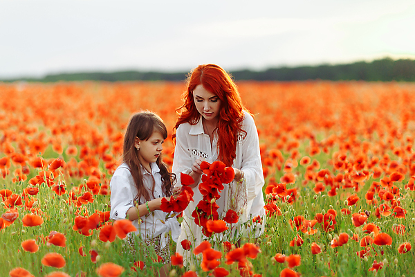 포토 JPG 해외이미지 백인 라이프스타일 여자 딸 행복 어린이 백그라운드 밭 가족 자연 놀이 엄마 함께함 건강 사랑 사람 야외 두명 뷰티 맑음 일몰 기쁨 시골 개화 양귀비 돌봄 무료 해외202310 해외포토 서양인 꽃 감정 컨셉 농업 관계 모션 날씨 생활 노을 생태계 파일형식