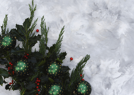 포토 JPG 해외이미지 나무 식기 접시 디자인 별 백그라운드 크리스마스 겨울 탁자 추상 휴가 새로움 새해 프레임 사람없음 장식 초록색 파티 유행 우주 검은색 축제 저녁식사 수확 흰색 나뭇가지 축하 인사 소나무 신용카드 거친 황금 은색 정상 연도 책상 브런치 초대 전나무 내추럴 크리스마스이브 카피스페이스 해외202310 해외포토 자연요소 식물 계절 기념일 컬러 가구 컨셉 무늬 농업 이벤트 금융 식사 공백 예절 파일형식