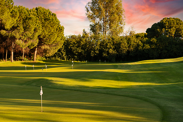 포토 JPG 해외이미지 라이프스타일 스포츠 백그라운드 밭 골프 공 골프장 자연 놀이 골프공 잔디 사람없음 컵 초록색 운동 일몰 골프채 기차 게임 깃발 구멍 목표 강의 연습 클럽 휴양지 넣기 페어웨이 해외202310 해외포토 식물 식기 육상교통 컬러 컨셉 농업 스포츠시설 모션 골프용품 대중교통 건강 생활 구기 노을 장소 생태계 파일형식