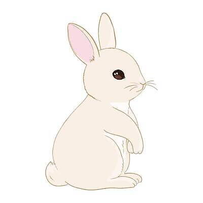 EPS 해외이미지 동물 캐릭터 디자인 꽃 행복 어린이 컬러 백그라운드 패턴 일러스트 포유류 휴가 부활절 사랑 그래픽 장식 컬러풀 뷰티 유행 페인트 봄 흰색 아기 토끼 인사 신용카드 달콤 낙서 인쇄 만화 스케치 그림 엽서 초대 솜털 고립 벡터 해외202310 해외일러스트 일러캐릭터 식물 계절 기념일 감정 무늬 미술 사람 금융 반려동물 예절 맛 편지 파일형식