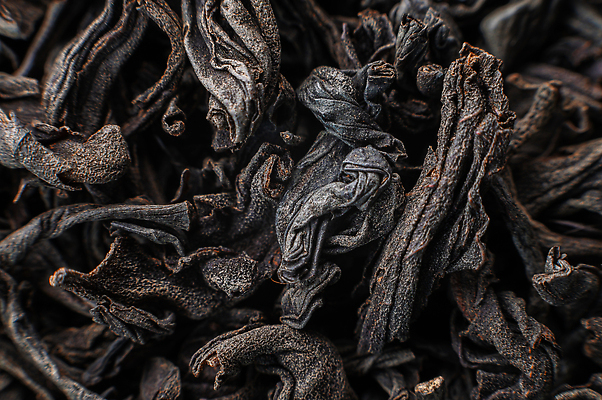 포토 JPG 해외이미지 식물 전통 음료 백그라운드 잎 재료 자연 건조 건강 동양인 사람없음 쌓기 검은색 중국 맛 인도인 허브 유기농 질감 아로마 향 내추럴 해외202310 해외포토 외국인 웰빙 아시아 컬러 컨셉 모션 인종 생태계 파일형식