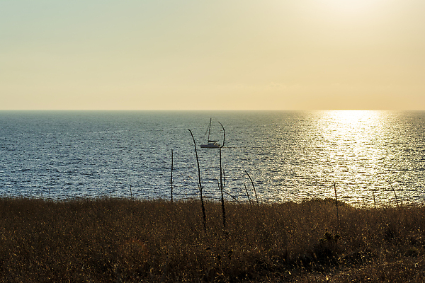 포토 JPG 해외이미지 식물 파도 바다 컬러 여행 백그라운드 오렌지 자연 벽지 하늘 휴가 파노라마 풍경 사람없음 물 여름 빛 햇빛 태양 뷰티 반사 노란색 침묵 일몰 낭만 전원 보트 황금 저녁 지중해 그리스 천국 내추럴 무한 웅장함 수평선 해외202310 해외포토 자연요소 계절 유럽 컨셉 배_교통 과일 촬영기법 노을 소리 전기에너지 야간 생태계 파일형식