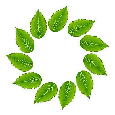 EPS 해외이미지 나무 식물 디자인 계절 여자 백그라운드 컨셉 잎 일러스트 재료 통신 자연 사람없음 그래픽 장식 초록색 세트 뷰티 정원 봄 장비 흰색 그룹 보호 수집 허브 싱글 내추럴 고립 전염병 국경 해외202310 해외일러스트 컬러 사람 질병 생태계 파일형식 벡터