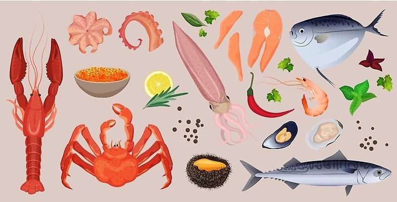 EPS 해외이미지 동물 접시 디자인 음식 바다 백그라운드 일러스트 재료 추상 조개 새우 건강 어류 스테이크 요리 빨간색 세트 주방 식당 수중 식사 게 껍질 굴 신선 시장 그릴 상품 바닷가재 만화 수집 참치 심볼 해산물 메뉴 오징어 날것 홍합 문어 연어 고립 캐비아 벡터 해외202310 해외일러스트 식기 컬러 무늬 식재료 주방용품 어패류 연체동물 서양음식 갑각류 상점 수중동물 가재 파일형식