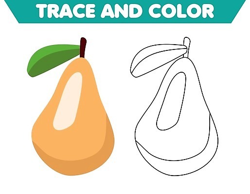 EPS 해외이미지 식물 교육 어린이 컬러 채소 일러스트 책 초록색 물 갈색 페인트 유치원 게임 연못 만화 레몬 허브 심볼 그림 윤곽 페이지 아보카도 벡터 해외202310 해외일러스트 자연요소 과일 놀이 사람 파일형식