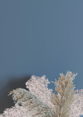 포토 JPG 해외이미지 식물 디자인 백그라운드 자연 바닥 프레임 건조 사람없음 그래픽 장식 세로 3D 우주 내추럴 엘리먼트 카피스페이스 현실 국경 비어있는 해외202310 해외포토 공백 디지털합성 생태계 파일형식