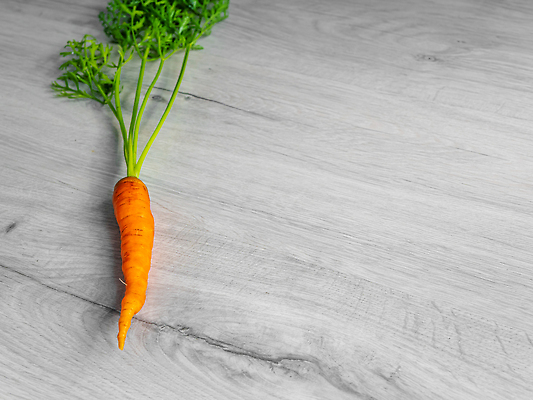 포토 JPG 해외이미지 식물 1 음식 백그라운드 잎 농업 다이어트 채소 오렌지 재료 건강 사람없음 목재 빨간색 초록색 여름 컬러풀 뷰티 농장 노란색 정원 당근 수확 흰색 시골 신선 시장 맛 정상 큼 다발 싱글 유기농 날것 뿌리 내추럴 고립 바이오 숙성 채식주의자 카피스페이스 비건 맛있는 해외202310 해외포토 나무 웰빙 계절 산업 컬러 컨셉 과일 뿌리채소 공백 크기 채식 파일형식