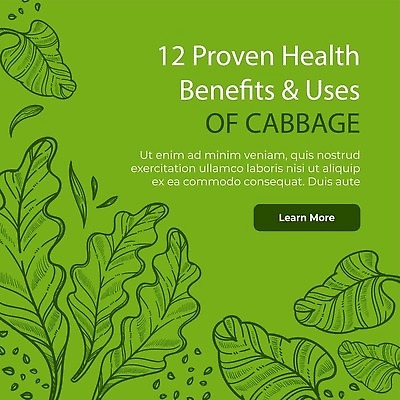 EPS 해외이미지 잎 일러스트 씨앗 사람없음 초록색 웹 스케치 양배추 드로잉 해외202310 해외일러스트 식물 컬러 인터넷 채소 미술 파일형식 벡터