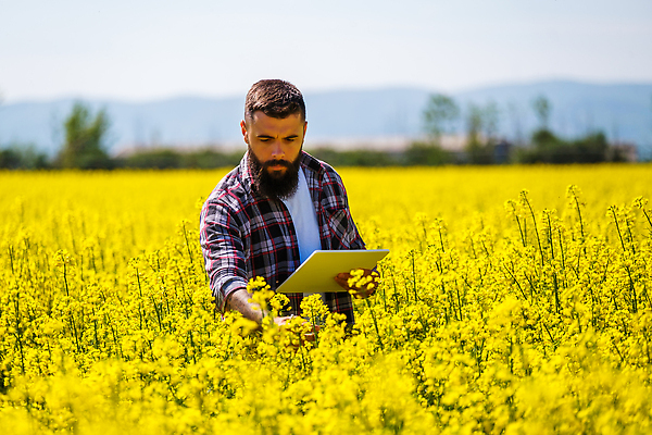 포토 JPG 해외이미지 식물 백인 직업 응시 꽃 산업 밭 농업 자연 성공 수염 한명 성인 야외 농작물 컴퓨터 태블릿 농장 농경지 농사 맑음 벚꽃 농촌 작업 체험 농부 유채 감시 진행 해외202310 해외포토 서양인 1 시선 컨셉 날씨 사람 전자제품 스마트기기 시골 생태계 파일형식