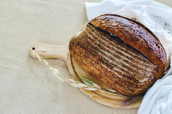 포토 JPG 해외이미지 전통 다이어트 탁자 표면 건강 사람없음 목재 갈색 빵집 시골 직물 신선 원형 낟알 자르기 밀 굽기 유기농 레시피 덩어리 번 핸드메이드 통밀 맛있는 해외202310 해외포토 도형 나무 웰빙 빵 컬러 가구 재료 모션 곡류 상점 구이 파일형식