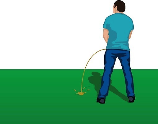 EPS 해외이미지 백인 남자 벽 백그라운드 셔츠 일러스트 자연 미술 서기 사람 성인 야외 검은색 힘 욕실 흰색 대접 질병 스케치 사인 화장실 그림 클립 쇼 문제 애니메이션 일반 방광 변기통 벡터 해외202310 해외일러스트 서양인 컬러 상의 의학 모션 문화예술 비뇨기관 생태계 파일형식