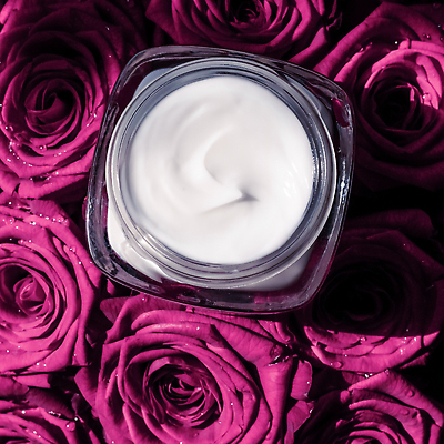 포토 JPG 해외이미지 근접촬영 사람없음 장미 고급 자주색 피부관리 스킨케어 기초화장품 수분크림 해외202310 해외포토 꽃 뷰포인트 컬러 컨셉 뷰티 화장품 파일형식