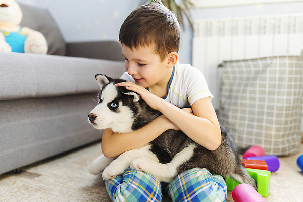 포토 JPG 해외이미지 동물 행복 얼굴 어린이 새끼 포옹 놀이 친절 바닥 주택 털 함께함 실내 선물 사랑 한명 미소 사람 앉기 소년 반려동물 소파 장난감 놀람 우정 카펫 놀이방 방 흰색 아기 생일 개 강아지 작음 송곳니 거짓말 순혈 해외202310 해외포토 1 기념일 남자 감정 컬러 컨셉 의자 포유류 안기 모션 표정 내부 건물 신체부위 친구 치아 크기 파일형식