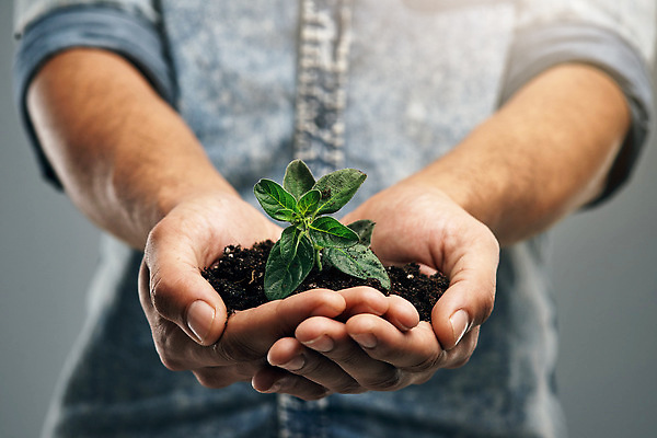 포토 JPG 해외이미지 손 들기 근접촬영 신체부위 새싹 자연보호 희망 흙 성장 손모으기 해외202310 해외포토 식물 감정 뷰포인트 모션 자연 사람 손짓 보호 파일형식