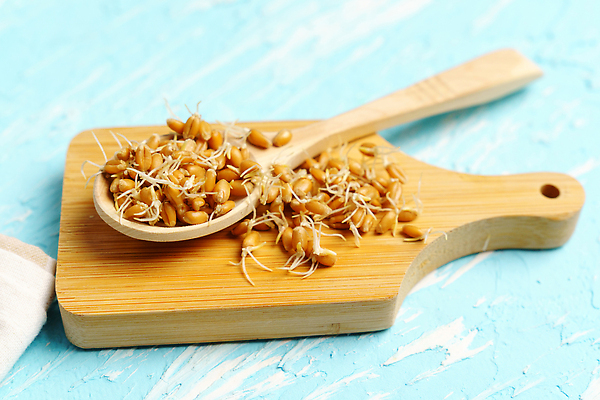 포토 JPG 해외이미지 식물 음식 백그라운드 농업 다이어트 재료 자연 건강 식이요법 씨앗 사람없음 농작물 갈색 새싹 수확 성장 시골 신선 낟알 시리얼 밀 먹기 유기농 날것 자연백그라운드 흙더미 건강식 내추럴 모종 생식 채식주의자 비건 해외202310 해외포토 웰빙 산업 컬러 모션 곡류 흙 생태계 채식 파일형식 더미