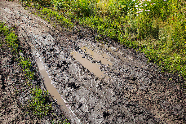 포토 JPG 해외이미지 계절 도로 길 지구 여행 잎 겨울 자연 추상 풍경 사람없음 야외 초록색 물 여름 갈색 환경 흙 봄 젖음 시골 바퀴 땅 질감 타이어 트랙 웅덩이 진흙 그런지 선로 해외202310 해외포토 자연요소 식물 컬러 무늬 교통시설 생태계 파일형식