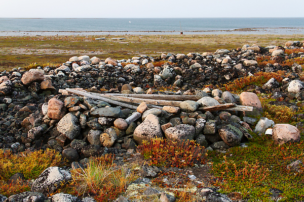 포토 JPG 해외이미지 전통 문화 음식 캐나다 자연 사람 사람없음 평화 환경 침묵 캠핑 황무지 고독 땅 북극 장면 철새 내추럴 고고학 고립 취급주의 해외202310 해외포토 교육 감정 컨셉 북아메리카 조류 레저 경고 소리 극지방 생태계 파일형식
