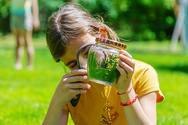 포토 JPG 해외이미지 여자 어린이 자연 돋보기 유리병 한명 들기 상반신 야외 관찰 소녀한명만 해외포토 1 모션 병_용기 사람 생태계 여자한명만 소녀만 파일형식