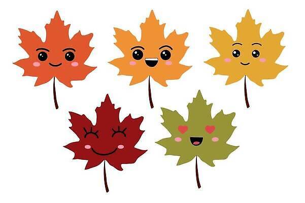 EPS 해외이미지 나무 식물 손 디자인 배너 계절 실루엣 종이 컬러 백그라운드 단풍 잎 캐나다 겨울 꽃무늬 패턴 오렌지 일러스트 비즈니스 학교 자연 추상 프레임 사랑 미술 그래픽 장식 빨간색 물 여름 태양 유행 봄 가을 심볼 질감 10월 내추럴 고립 그런지 엘리먼트 벡터 국경 해외202310 해외일러스트 자연요소 교육 꽃 감정 북아메리카 무늬 과일 문화예술 촬영기법 신체부위 날짜 생태계 파일형식