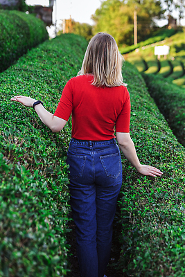 포토 JPG 해외이미지 식물 직업 전통 계절 아시아 여행 포즈 잎 밭 농업 자연 산 한명 야외 초록색 농작물 농장 마을 정원 모임 수확 성장 농촌 시골 신선 녹차 수집 언덕 유기농 미로 칠면조 밭일 튀르키예 해외202310 해외포토 1 웰빙 나라 산업 컬러 조류 사람 차_음료 생태계 파일형식