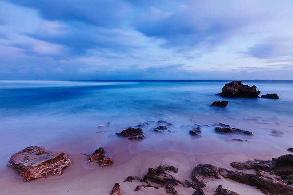 포토 JPG 해외이미지 주간 식물 구름 모래 파도 바다 여행 조류 풍경 사람없음 물 반사 맑음 침묵 황혼 일몰 산책 전원 만 거친 해조류 호주 멜버른 해외202310 해외포토 자연요소 동물 날씨 휴식 노을 소리 해양식물 오세아니아 전기에너지 파일형식