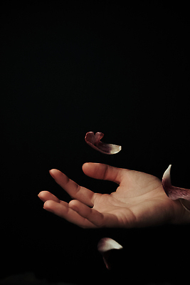 포토 JPG 해외이미지 템플릿 디자인 꽃잎 꽃 분홍색 결혼 백그라운드 컨셉 잎 꽃무늬 패턴 텍스트 자연 벽지 추상 휴가 프레임 실내 발렌타인데이 사랑 사람없음 장식 빨간색 뷰티 우주 낭만 튤립 달력 흰색 축하 인사 신용카드 떨어짐 자르기 질감 회전 엽서 내추럴 고립 깊이 현실 해외202310 해외포토 식물 감정 컬러 무늬 모션 데이이벤트 이벤트 내부 금융 예절 편지 생태계 파일형식