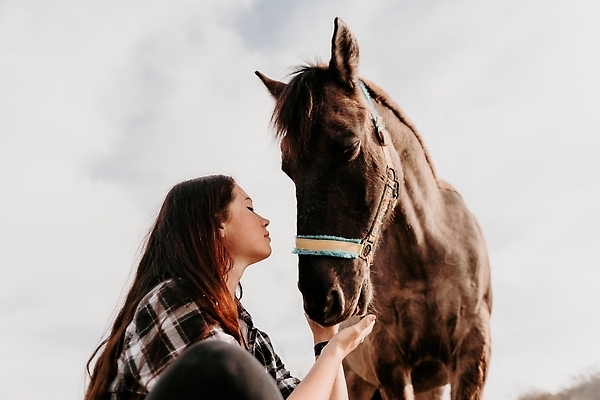 포토 JPG 해외이미지 동물 백인 라이프스타일 공원 여자 행복 스포츠 밭 자연 하늘 사랑 한명 미소 사람 야외 여름 빛 햇빛 태양 뷰티 농장 갈색 머리 유행 일몰 우정 흰색 승마 승차 저녁 숲 돌봄 라이더 해외202310 해외포토 자연요소 서양인 1 계절 공공시설 감정 컬러 농업 모션 표정 생활 신체부위 친구 노을 야간 생태계 파일형식