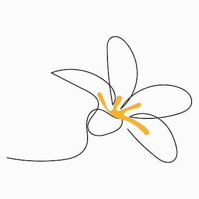 EPS 해외이미지 식물 디자인 꽃잎 꽃 실루엣 선 결혼 백그라운드 꽃무늬 일러스트 자연 추상 미술 그래픽 장식 여름 뷰티 정원 검은색 벚꽃 흰색 우아함 스케치 문신 심볼 라인아트 싱글 그림 심플 윤곽 고립 엘리먼트 스타일 벡터 반복 해외202310 해외일러스트 계절 컬러 컨셉 무늬 문화예술 촬영기법 이벤트 생태계 파일형식