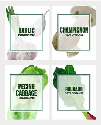 EPS 해외이미지 배너 일러스트 마늘 사람없음 유기농 양배추 양송이 손그림 루바브 비건 해외202310 해외일러스트 웰빙 채소 버섯 채식주의자 파일형식 벡터