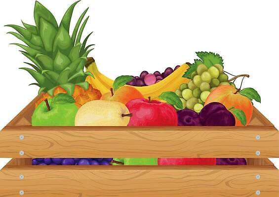 EPS 해외이미지 음식 백그라운드 컨셉 농업 다이어트 과일 일러스트 자연 포도 바나나 건강 목재 초록색 세트 상자 농장 바구니 정원 수확 흰색 신선 시장 플랫 사과 상품 나무상자 컨테이너 만화 심볼 파인애플 유기농 날것 복숭아 비타민 자두 내추럴 고립 숙성 엘리먼트 이국적 채식주의자 벡터 현실 맛있는 해외202310 해외일러스트 나무 웰빙 산업 컬러 재료 열대과일 생태계 채식 영양소 파일형식