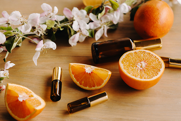 포토 JPG 해외이미지 꽃 조각 오렌지 단면 사람없음 감성 공병 에센스 나무배경 해외202310 해외포토 식물 백그라운드 컨셉 과일 화장품 병_담는 파일형식