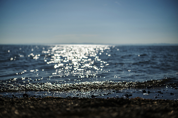 포토 JPG 해외이미지 구름 모래 파도 바다 자연 조류 하늘 바람 휴가 풍경 사람없음 물 여름 파란색 태양 뷰티 서핑 수평선 해외202310 해외포토 자연요소 동물 계절 컬러 날씨 수상스포츠 생태계 파일형식