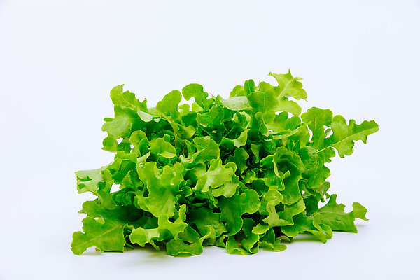 포토 JPG 해외이미지 음식 백그라운드 잎 다이어트 채소 재료 건강 사람없음 샐러드 수확 흰색 신선 상추 다발 먹기 원예 칼로리 빙산 비타민 내추럴 루꼴라 밭일 해외202310 해외포토 식물 컬러 농업 모션 취미 영양소 파일형식