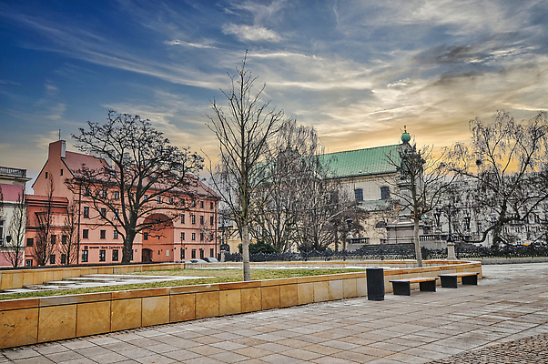 포토 JPG 해외이미지 나무 외관 공원 여행 풍경 사람없음 야외 관광지 도시풍경 여행객 정원 도시 역사 장면 광택 타운 동유럽 폴란드 랜드마크 옛날 바르샤바 해외202310 해외포토 식물 공공시설 유럽 사람 파일형식