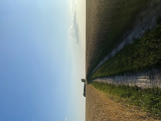 포토 JPG 해외이미지 식물 디자인 실루엣 음식 빵 줄기 조각 백그라운드 밭 농업 공장 가정 옥수수 사람없음 여름 농작물 농장 마을 수확 황금 볏짚 낟알 자르기 시리얼 밀 심볼 보리 귀 밀가루 먼지 지역 밭일 채식주의자 호밀 귀리 해외202310 해외포토 계절 산업 공업 모션 곡류 촬영기법 신체부위 짚 가루 채식 파일형식