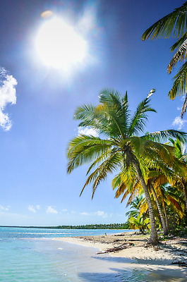 포토 JPG 해외이미지 나무 식물 모래 바다 섬 여행 백그라운드 잎 자연 하늘 휴가 휴식 손바닥 사람없음 야외 초록색 물 파란색 햇빛 태양 뷰티 맑음 침묵 흰색 만 고급 휴양지 코코넛 석호 이국적 파라다이스 해외202310 해외포토 자연요소 손 컬러 컨셉 과일 날씨 소리 장소 생태계 파일형식