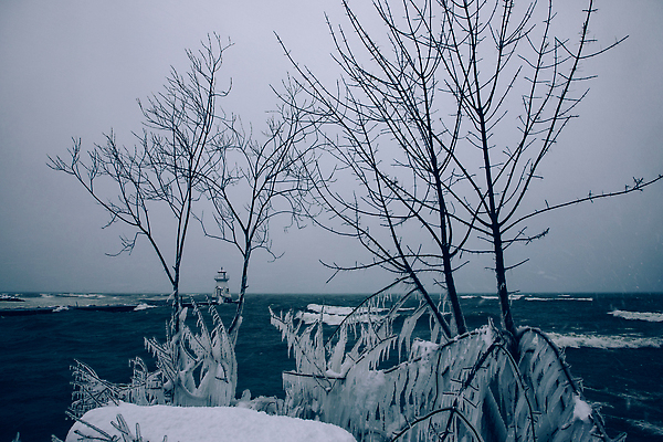 포토 JPG 해외이미지 나무 호수 백그라운드 크리스마스 캐나다 겨울 자연 등대 안전 사람없음 야외 목재 물 뷰티 추위 흰색 숲 서리 흐림 내추럴 해외202310 해외포토 자연요소 식물 계절 기념일 컬러 북아메리카 재료 날씨 생태계 파일형식