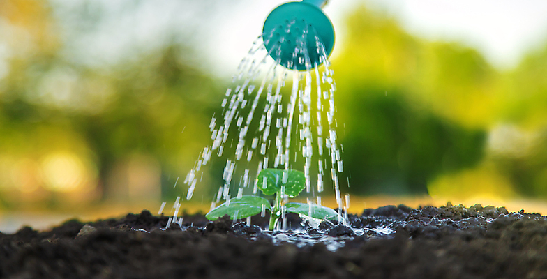 포토 JPG 해외이미지 사람없음 물 정원 흙 물뿌리개 성장 원예 해외202310 해외포토 자연요소 취미 파일형식