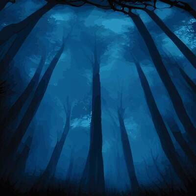 EPS 해외이미지 나무 디자인 계절 실루엣 여행 백그라운드 일러스트 자연 벽지 하늘 추상 미술 야외 파란색 빛 검은색 어둠 황혼 새벽 할로윈 안개 달 신선 야간 숲 오솔길 무서움 악마 만화 달빛 질감 마법 빛망울 10월 뿌연 벡터 디테일 국경 해외202310 해외일러스트 자연요소 식물 감정 길 컬러 무늬 날씨 문화예술 촬영기법 일몰 날짜 생태계 파일형식