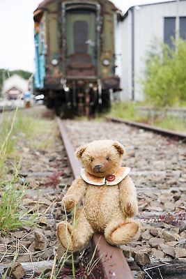 포토 JPG 해외이미지 동물 응시 어린이 인형 백그라운드 컨셉 곰 선물 사랑 앉기 취미 사람없음 장난감 갈색 놀람 낭만 슬픔 수확 아기 고독 정상 작음 모피 버리기 오브젝트 싱글 복고 부드러움 솜털 DIY 폭식 옛날 혼자 실종 해외202310 해외포토 시선 감정 컬러 농업 포유류 모션 표정 사람 감각 크기 사건 파일형식