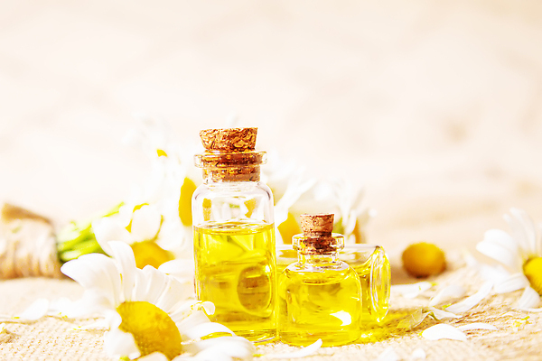 포토 JPG 해외이미지 사람없음 아웃포커스 노란색 오일 아로마테라피 내추럴 에센스 캐모마일 해외202310 해외포토 꽃 음식 컬러 촬영기법 화장품 허브 테라피 파일형식