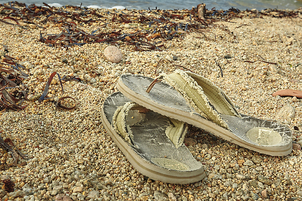 포토 JPG 해외이미지 모자 모래 바다 여행 백그라운드 신발 컨셉 자연 휴가 휴식 불가사리 슬리퍼 한명 사람없음 물 여름 파란색 수건 컬러풀 선글라스 태양 유행 맑음 흰색 쌍 샌들 휴양지 고립 해외202310 해외포토 자연요소 1 잡화 계절 안경 컬러 날씨 극피동물 사람 위생용품 장소 생태계 파일형식