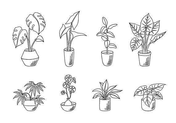 EPS 해외이미지 나무 식물 손 디자인 꽃 화분 화초 선 백그라운드 잎 꽃무늬 일러스트 자연 주택 흑백 실내 미술 취미 내부 그래픽 장식 세트 사무실 뷰티 정원 흰색 낙서 냄비 스케치 수집 심볼 그림 원예 윤곽 내추럴 고립 심기 엘리먼트 벡터 해외202310 해외일러스트 컬러 무늬 비즈니스 모션 문화예술 촬영기법 건물 신체부위 솥 생태계 파일형식