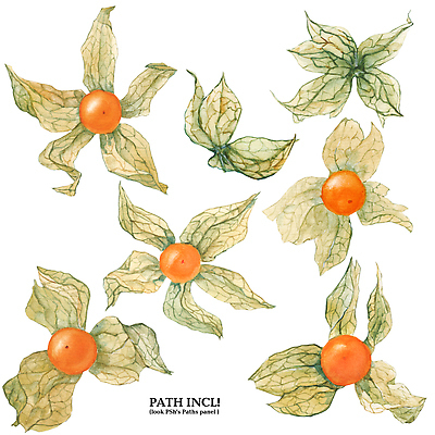 포토 JPG 해외이미지 식물 영어 열매 꽃 음식 백그라운드 꽃무늬 과일 자연 벽지 미술 사람없음 장식 유행 페인트 수확 신선 포장지 유기농 빅토리아 해외202310 해외포토 문자 웰빙 무늬 농업 포장 문화예술 생태계 파일형식