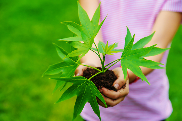 포토 JPG 해외이미지 나무 식물 손 배너 꽃 어린이 음식 백그라운드 컨셉 꽃무늬 농업 가족 자연 새로움 주택 관리 사랑 씨앗 사람 사람없음 초록색 물 여름 환경 정원 흙 수확 성장 아기 신선 잡기 먼지 땅바닥 모종 생태학 해외202310 해외포토 자연요소 계절 교육 감정 산업 컬러 무늬 관계 모션 바닥 건물 신체부위 생태계 파일형식