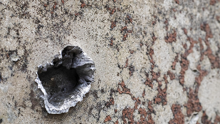 포토 JPG 해외이미지 접시 무기 백그라운드 표면 사람없음 초록색 갈색 금속 페인트 손상 구멍 주름 파편 장애인 질감 군용 싸움 전쟁 슛 변장 총알 갑옷 그런지 단절 자취 철강 해외202310 해외포토 식기 컬러 컨셉 모션 재질 군대 보호장비 장애 파일형식